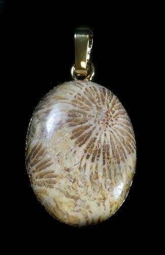 Million Year Old Fossil Coral Pendant #35791